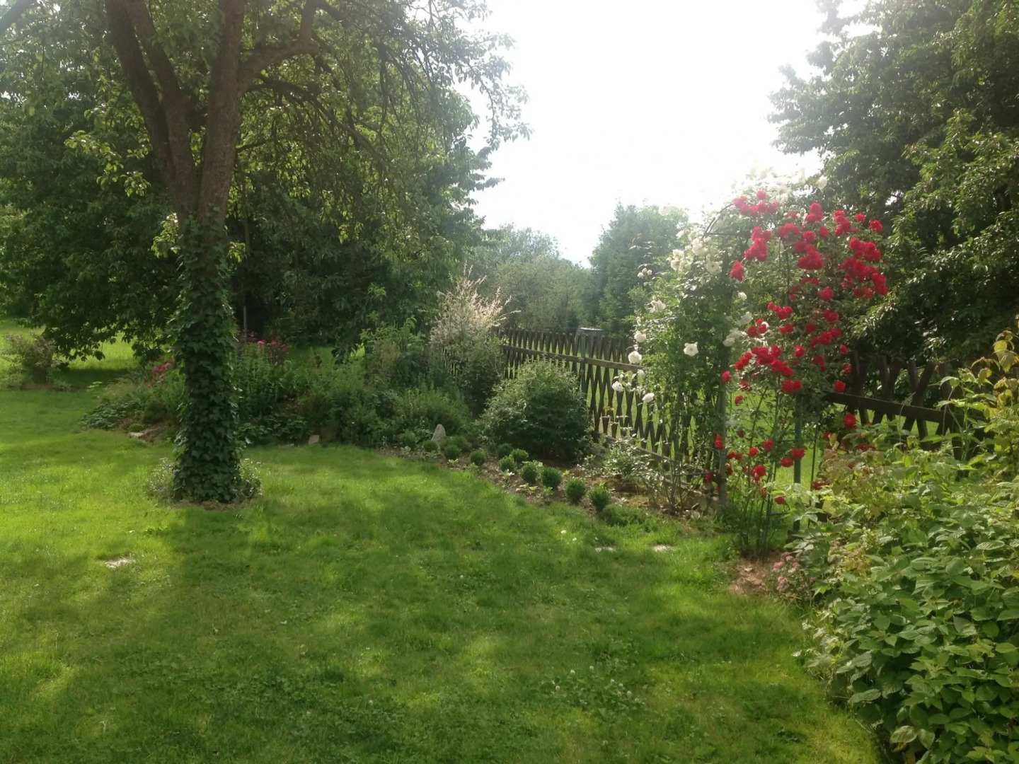 Unique Renovated Bakery in Landhouse