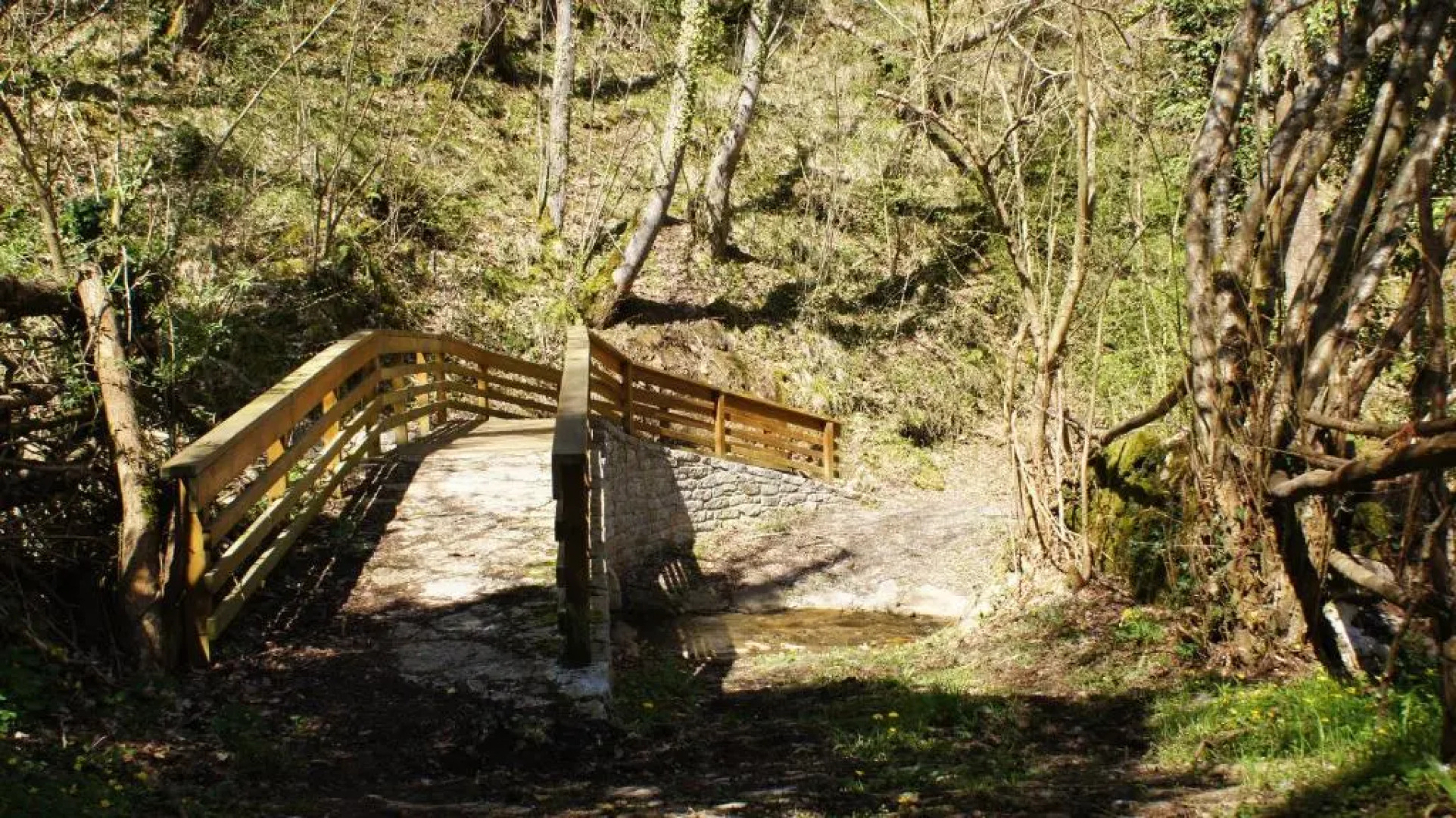 Apartamentos Blanca Senda del Oso