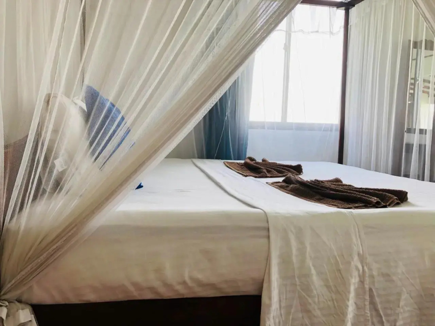 Surf Paradise & Cabana