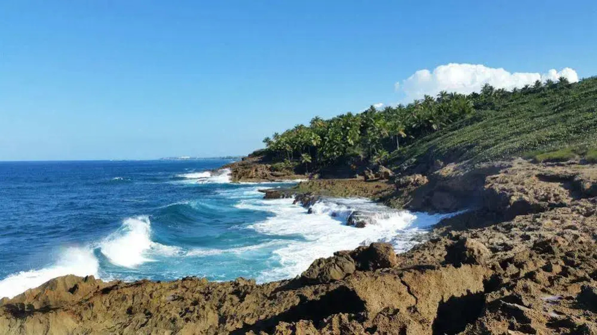 Dorado Centrally Located Guest House