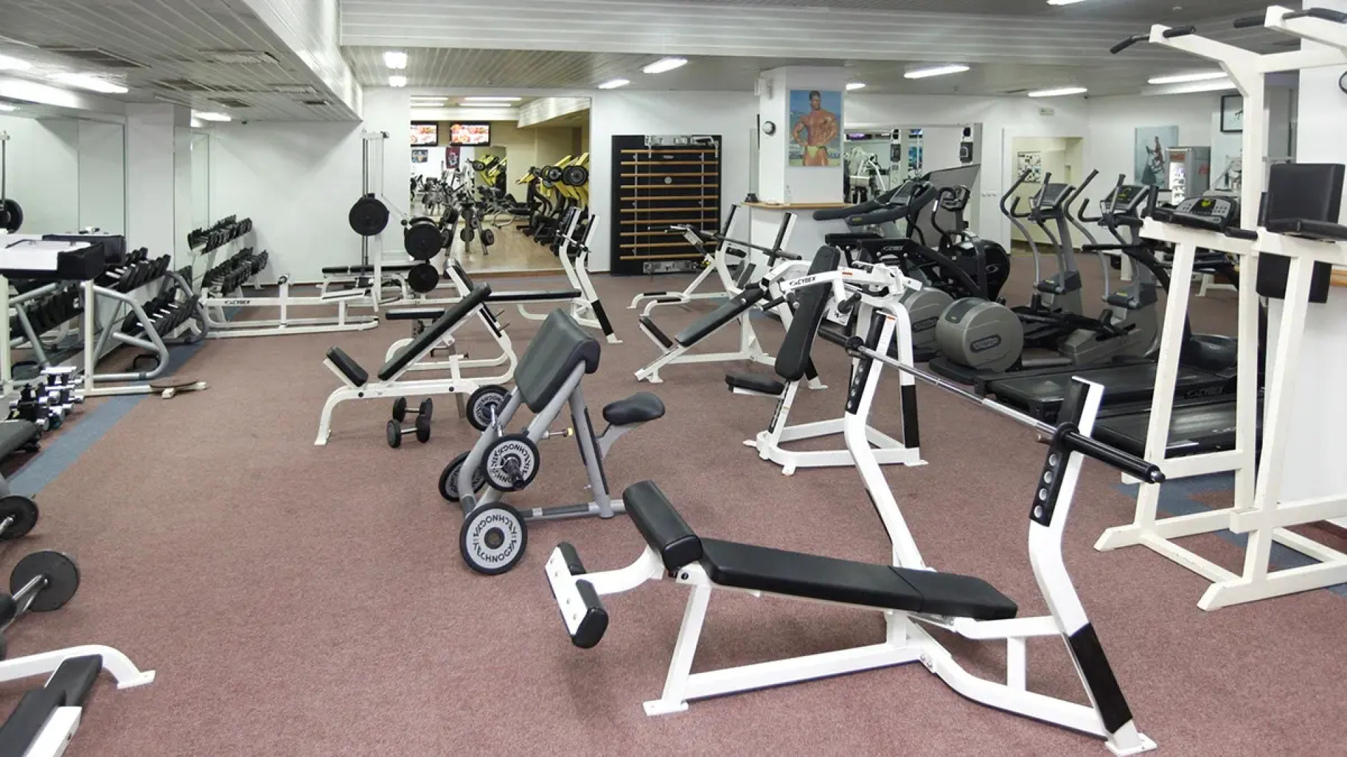 Aleksandar Palace Hotel & Spa