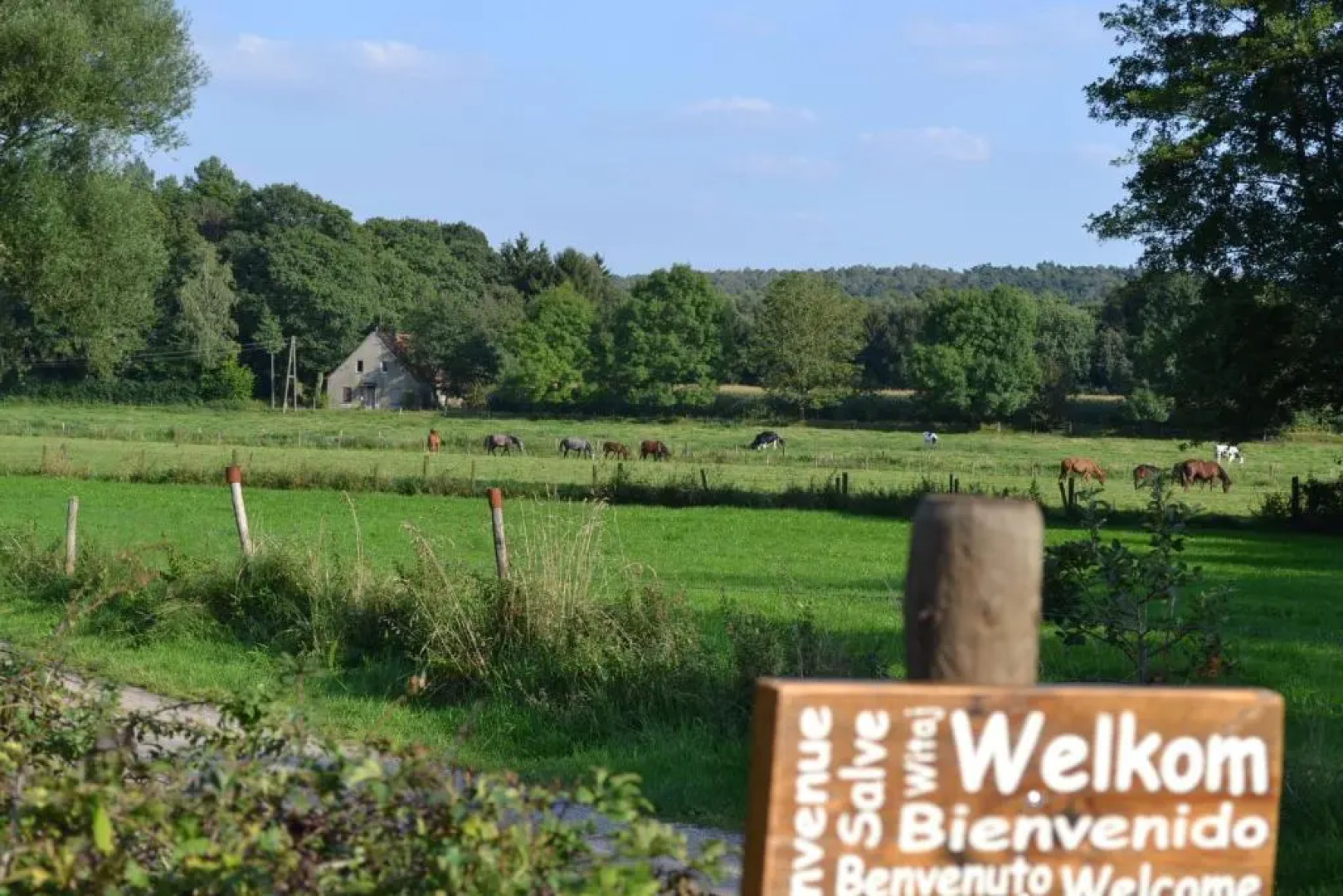 Appartement De Bosuil