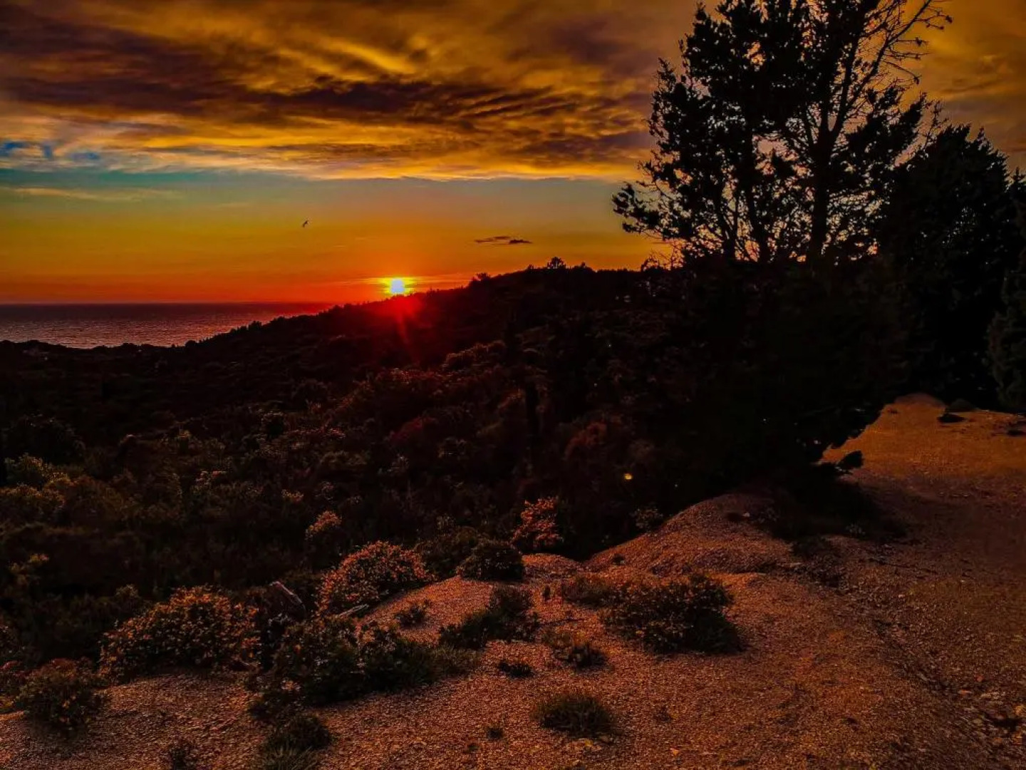 Erikousa Palace Martha Studios by Corfu Escapes