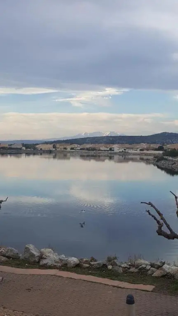 Appartement Le Flamant Rose
