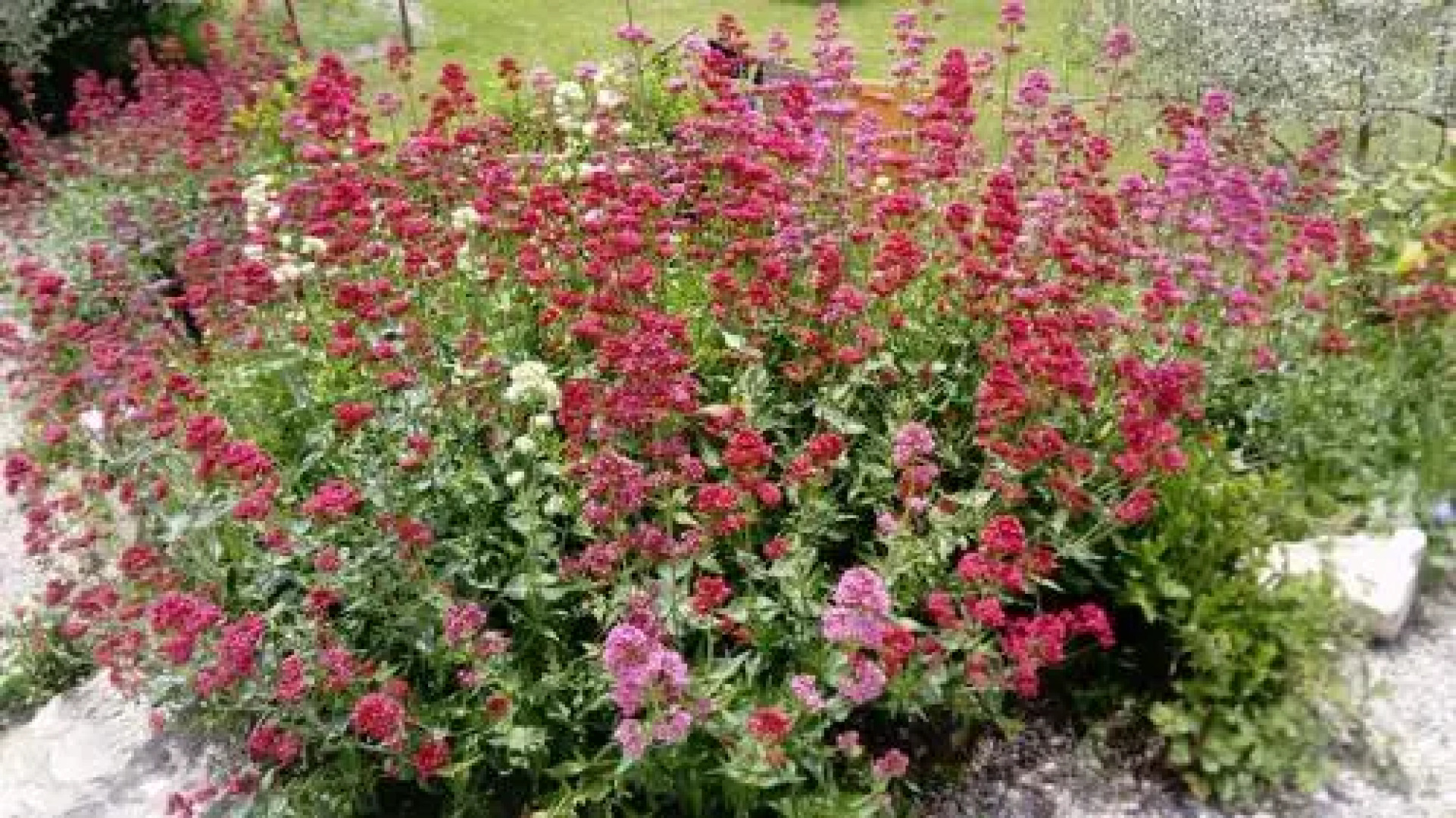 La Maison de Marguerite