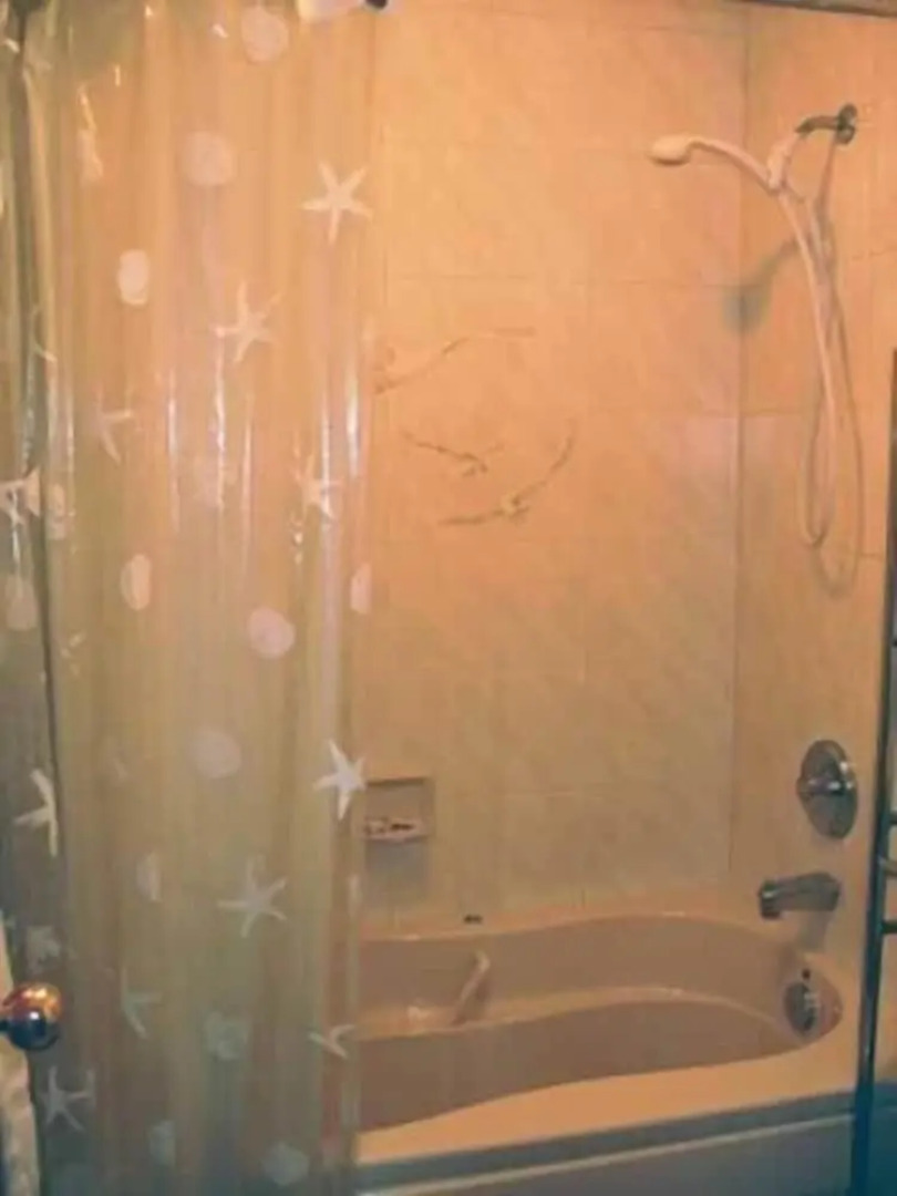 Moonlight Beach Suites