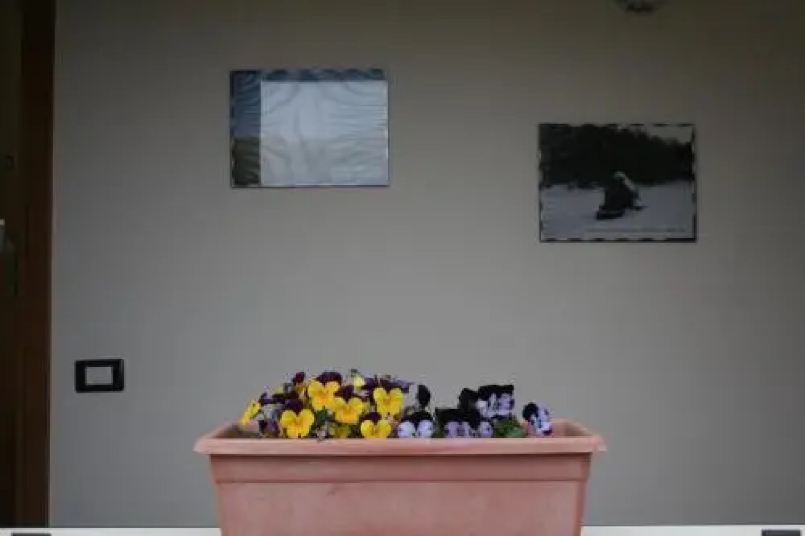 Bed and Breakfast Cirelli