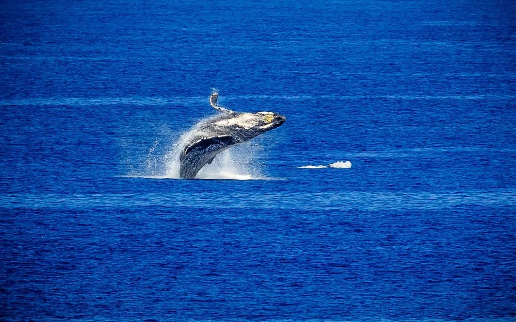 Kapalua Ridge Villa 1523 Gold Ocean View