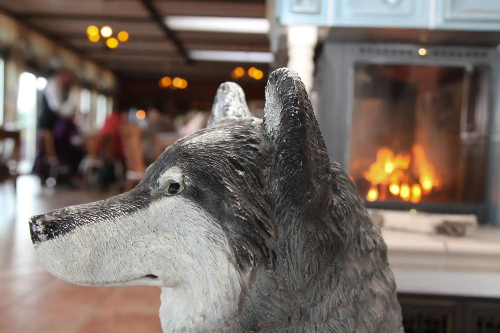 Das Wolfshotel am Arendsee