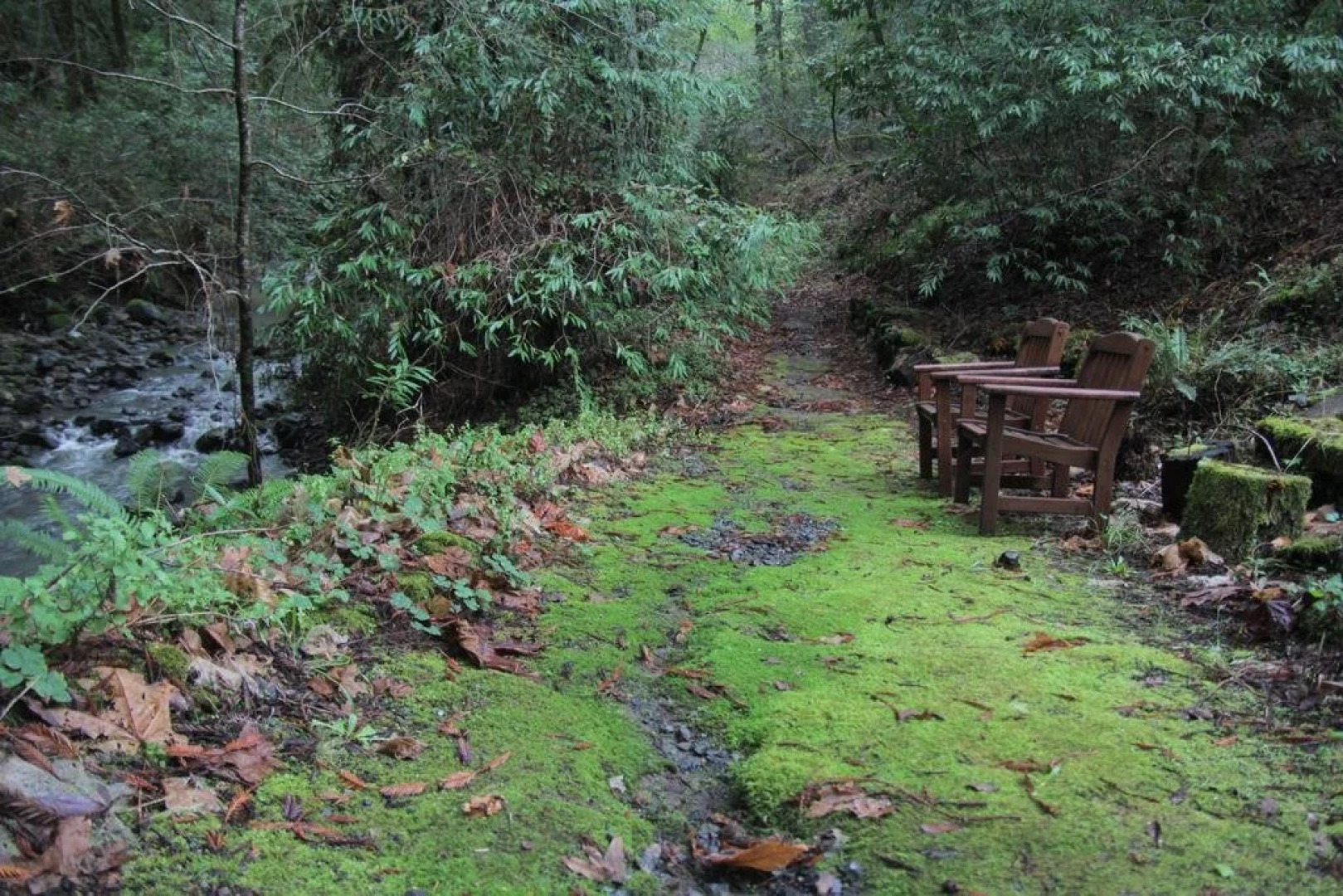 Avalon Bed and Breakfast