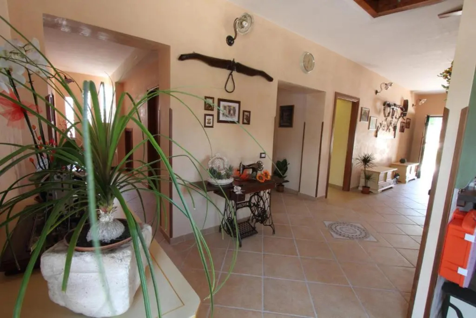 Azienda Agrituristica La Tenuta del Falco