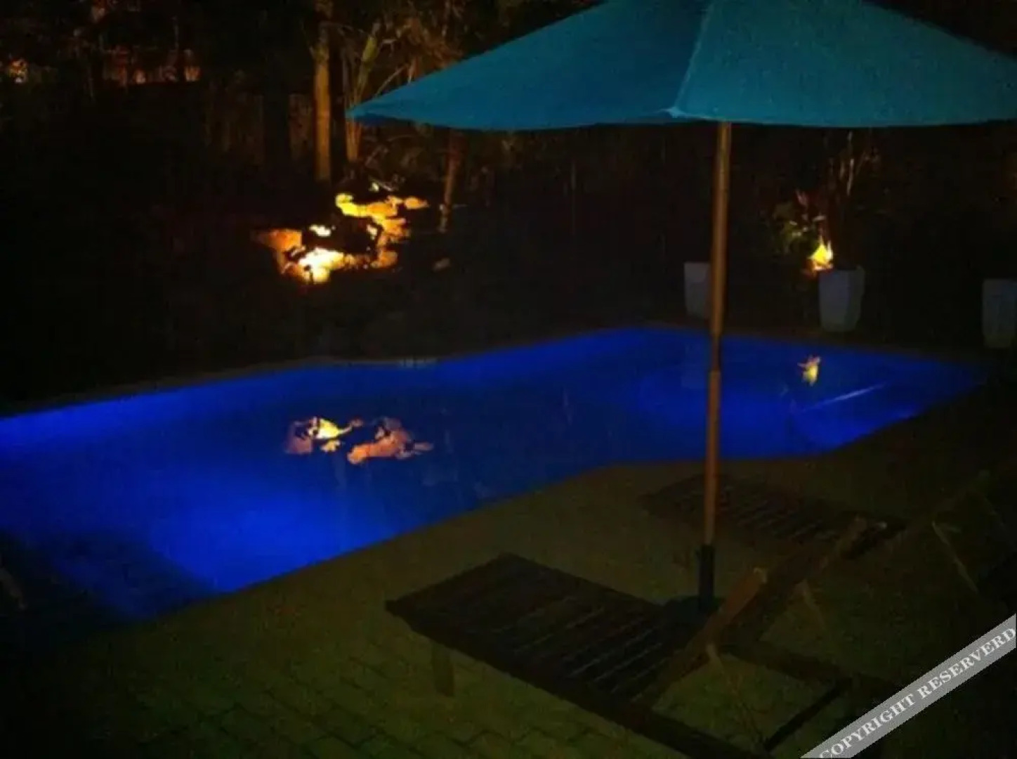 Villa La Vida- Self-Catering House