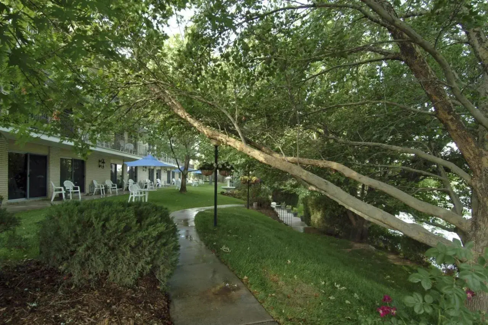 River Terrace Green River