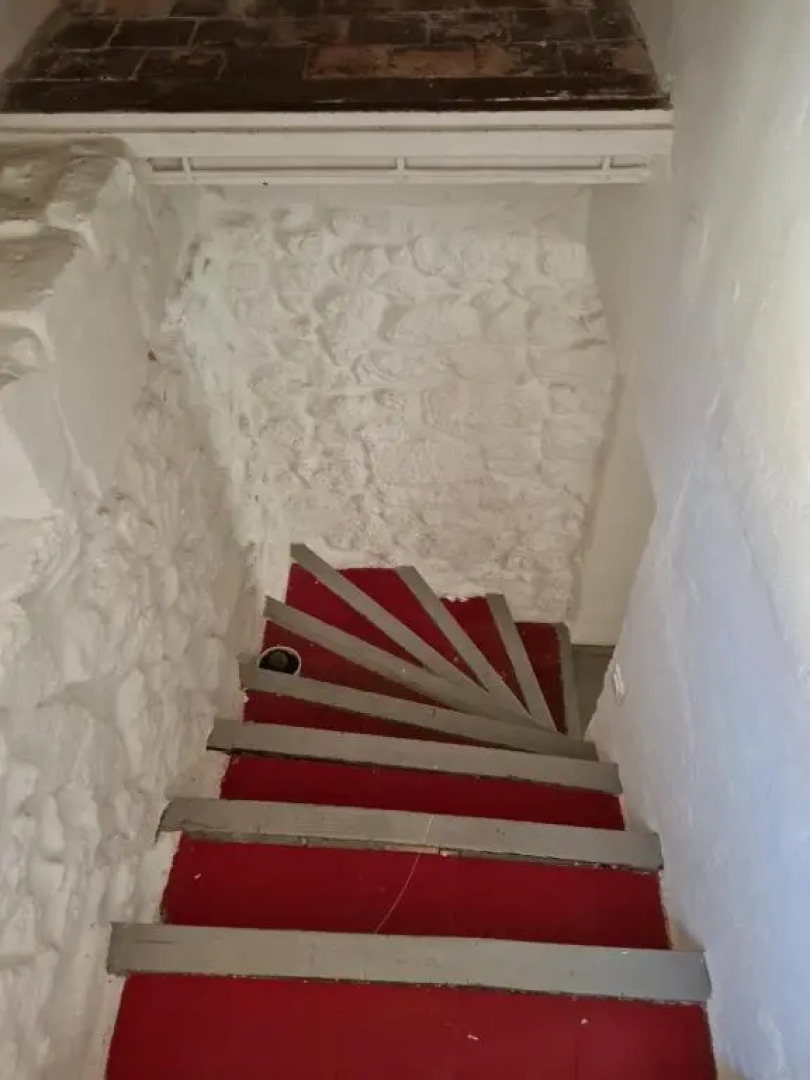 L'olivier et la lavande