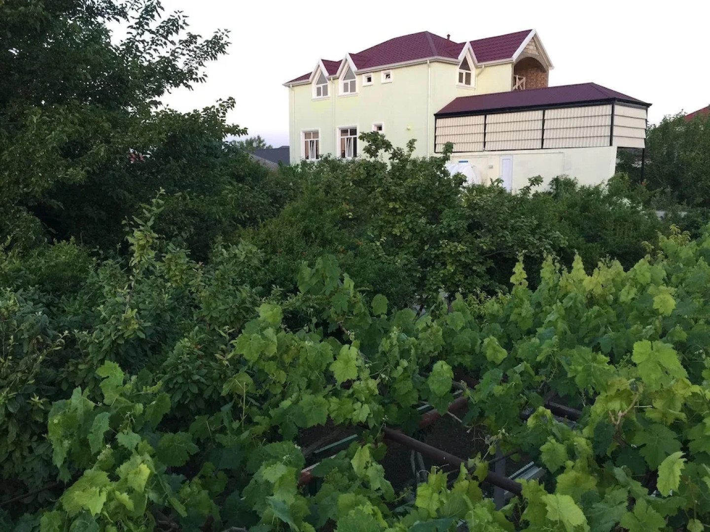 Отель Hasanovs Villa