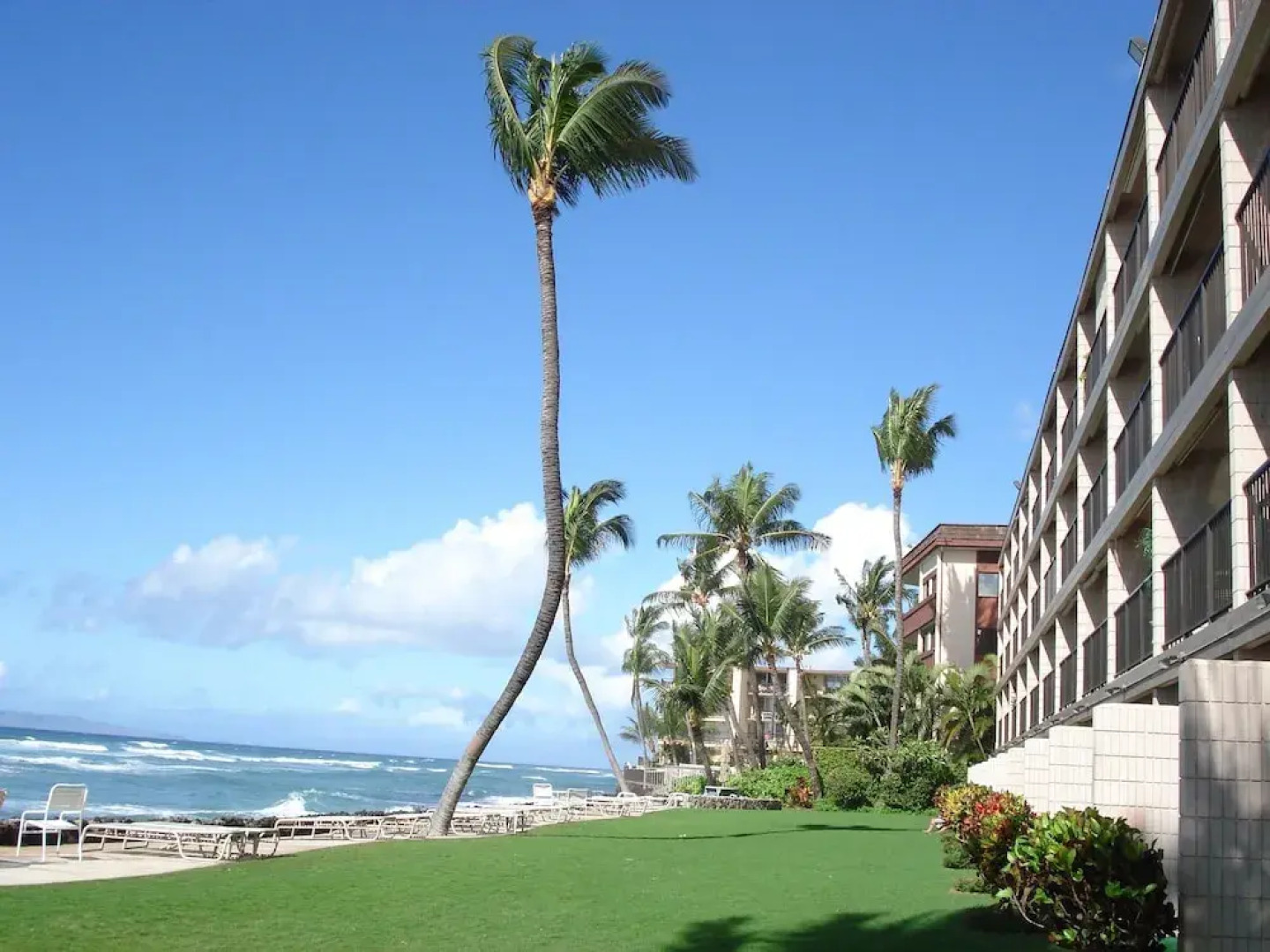 Kaleialoha #305 1 Bedroom 1 Bathroom Condo by Redawning