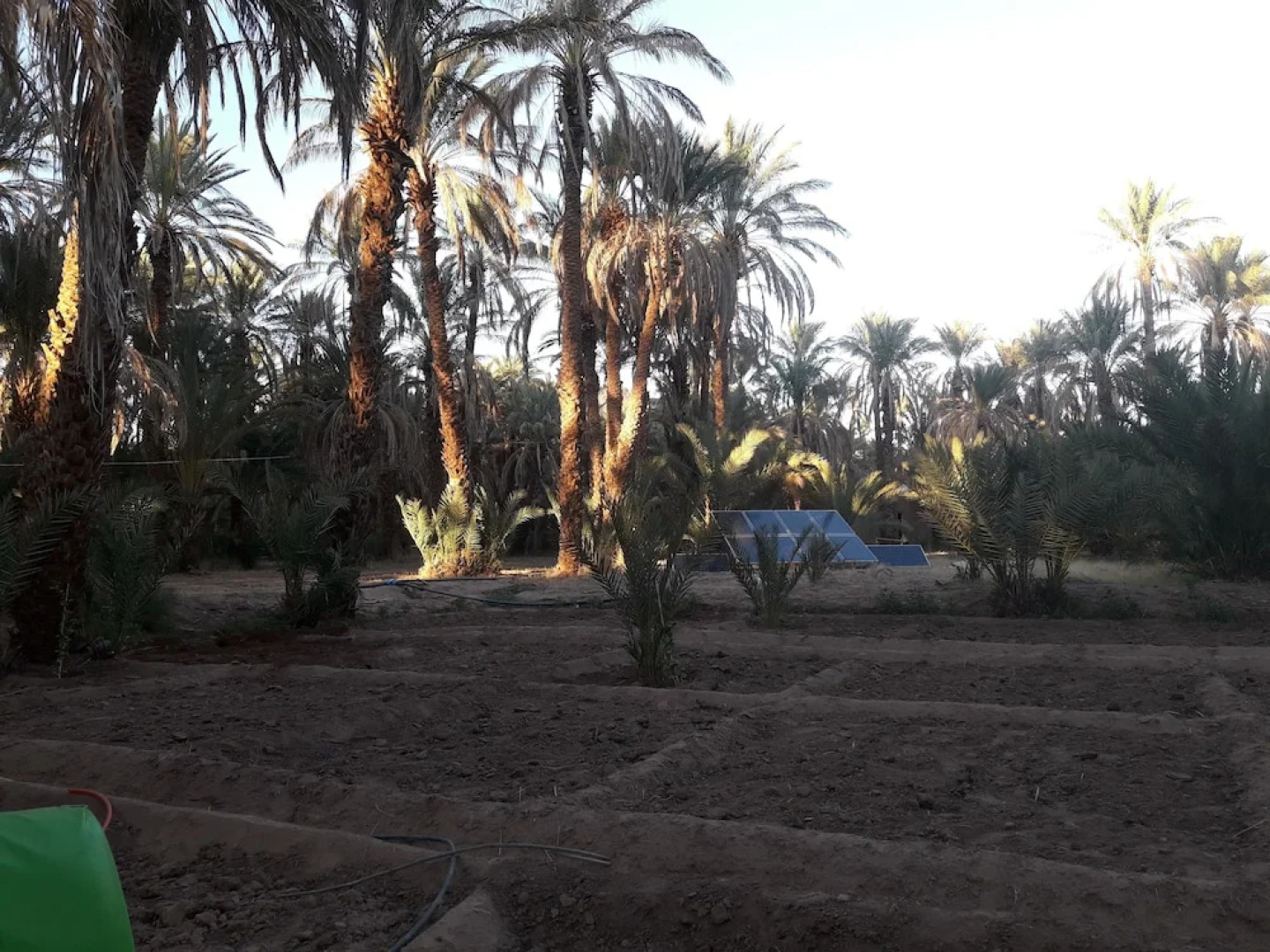 Riad Tagmadart Ferme D'hôte