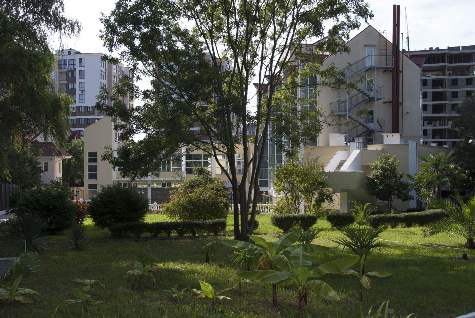 Морская звезда (Сочи)