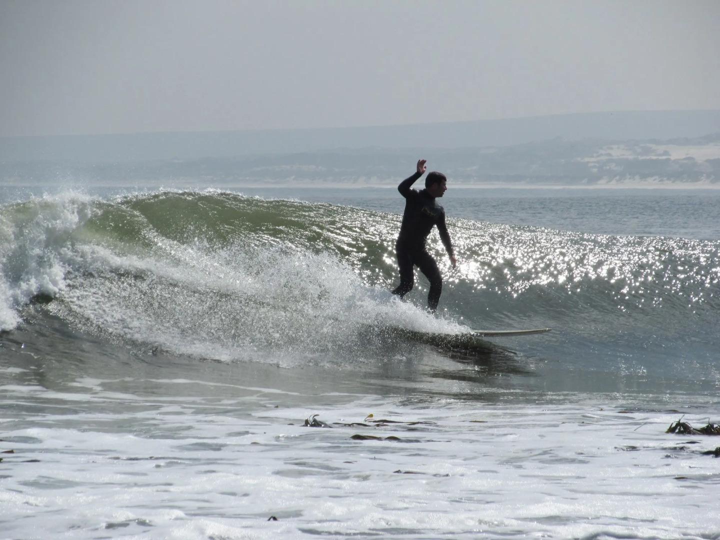 Bluebottle Guest House