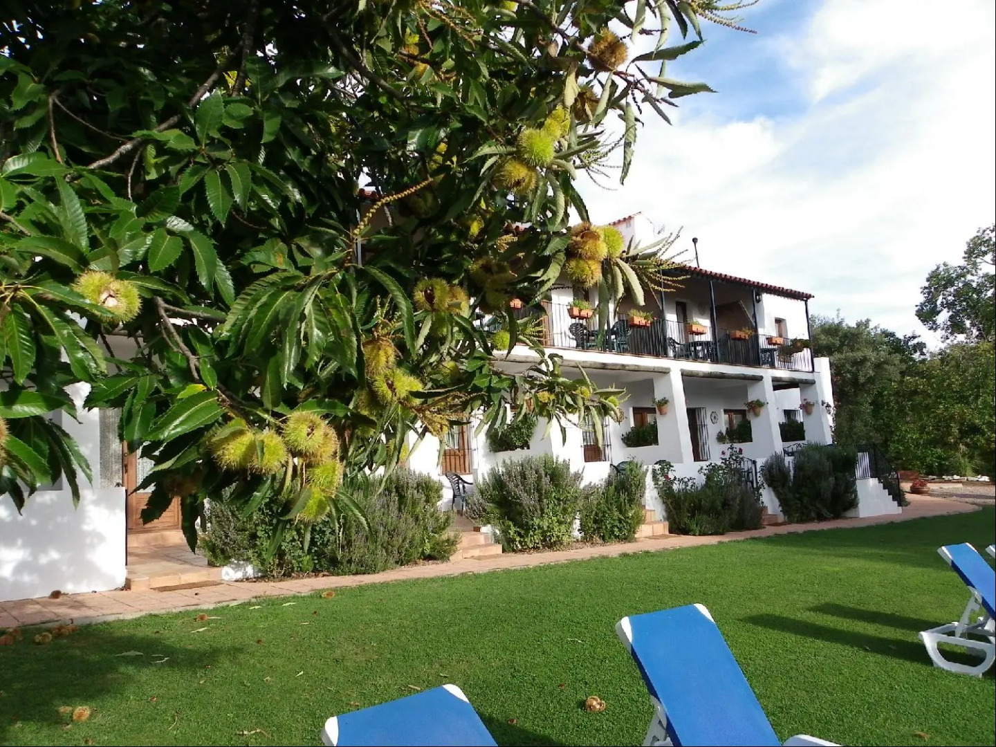 Hotel Apartamento Rural Finca La Media Legua