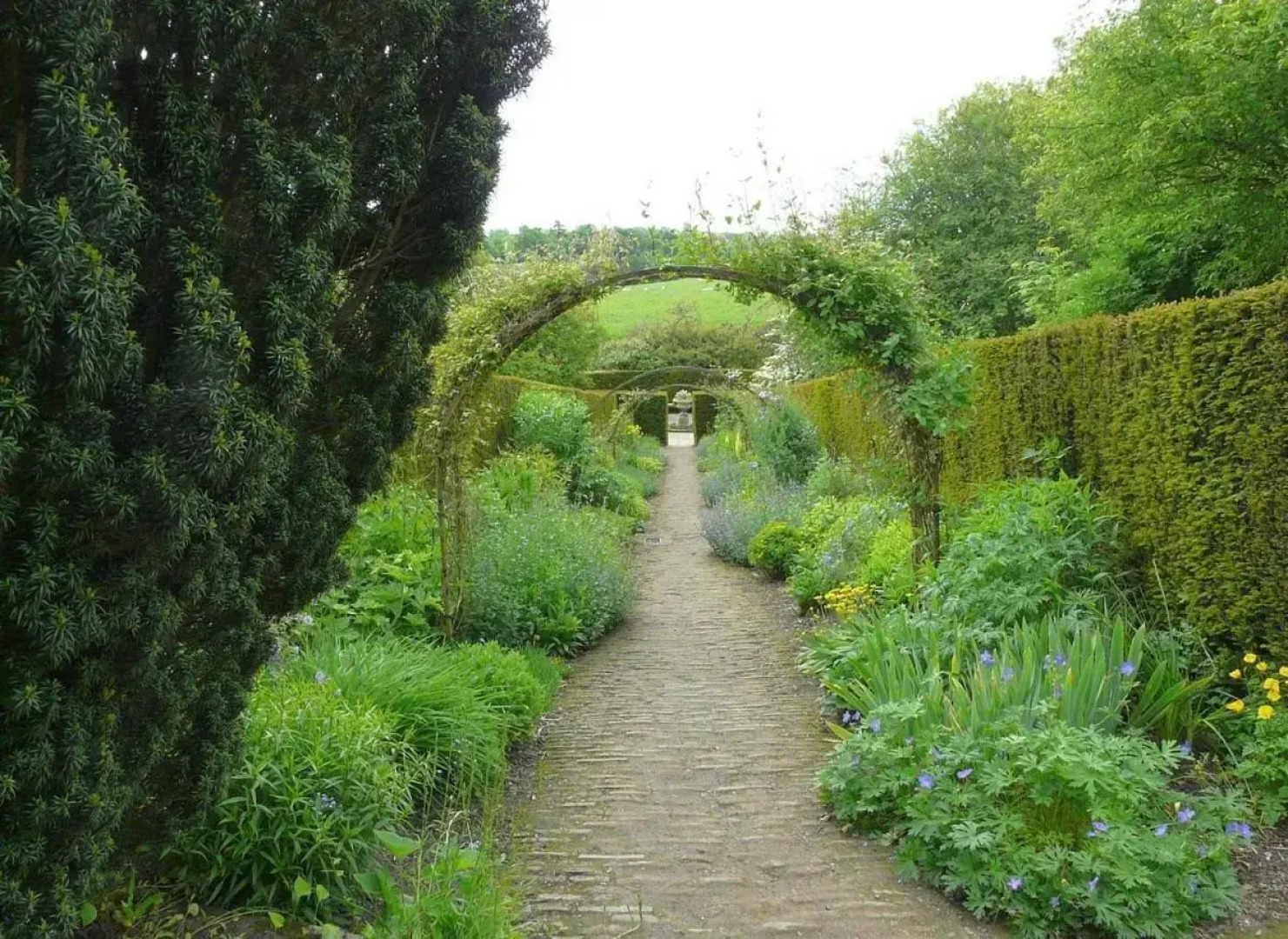 NEW Cottingburn House