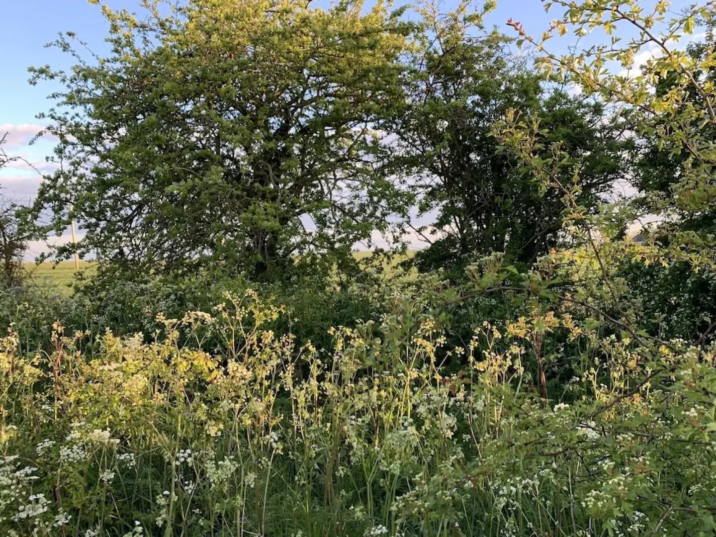 Cosy Escape Heated Luxury pod and hot tub