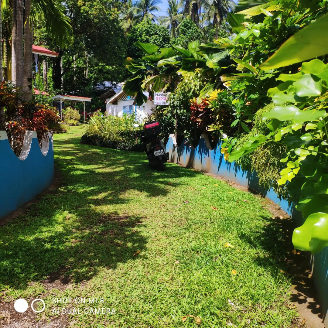 Sun House Rental