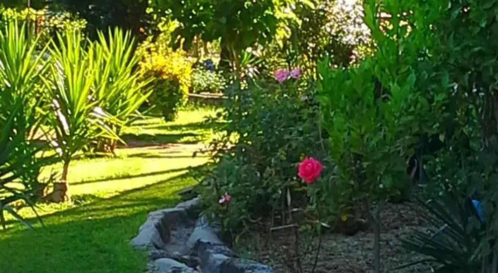 Quinta do Nascimento