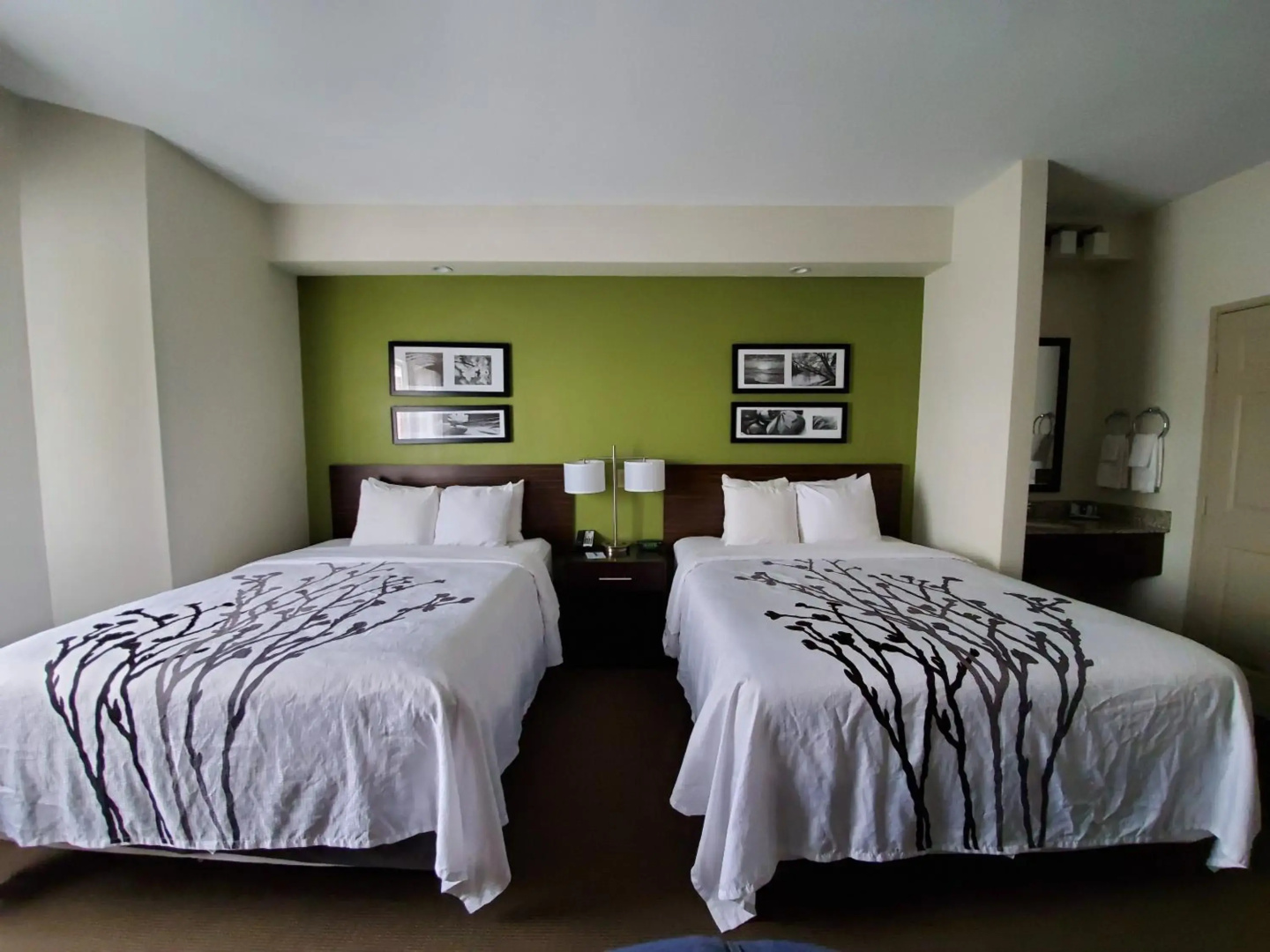 Sleep Inn Richmond North