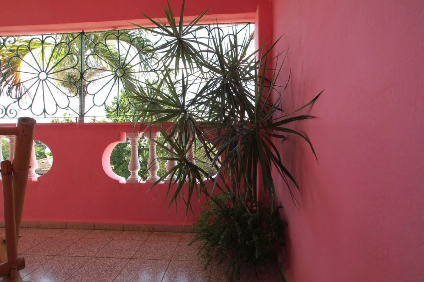 Hostal Zaira Kenia y Jorge Luis