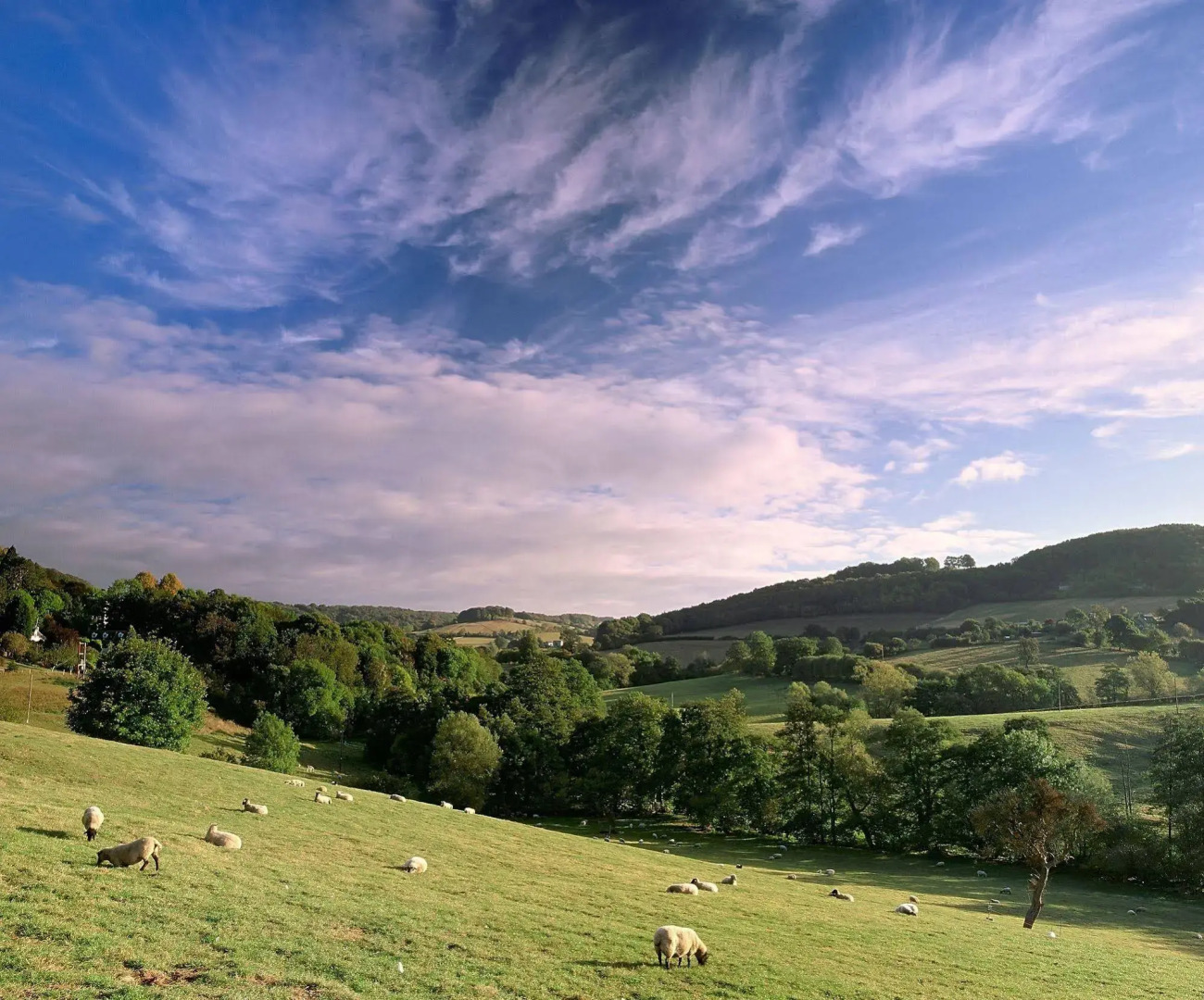 Three Ways House Hotel