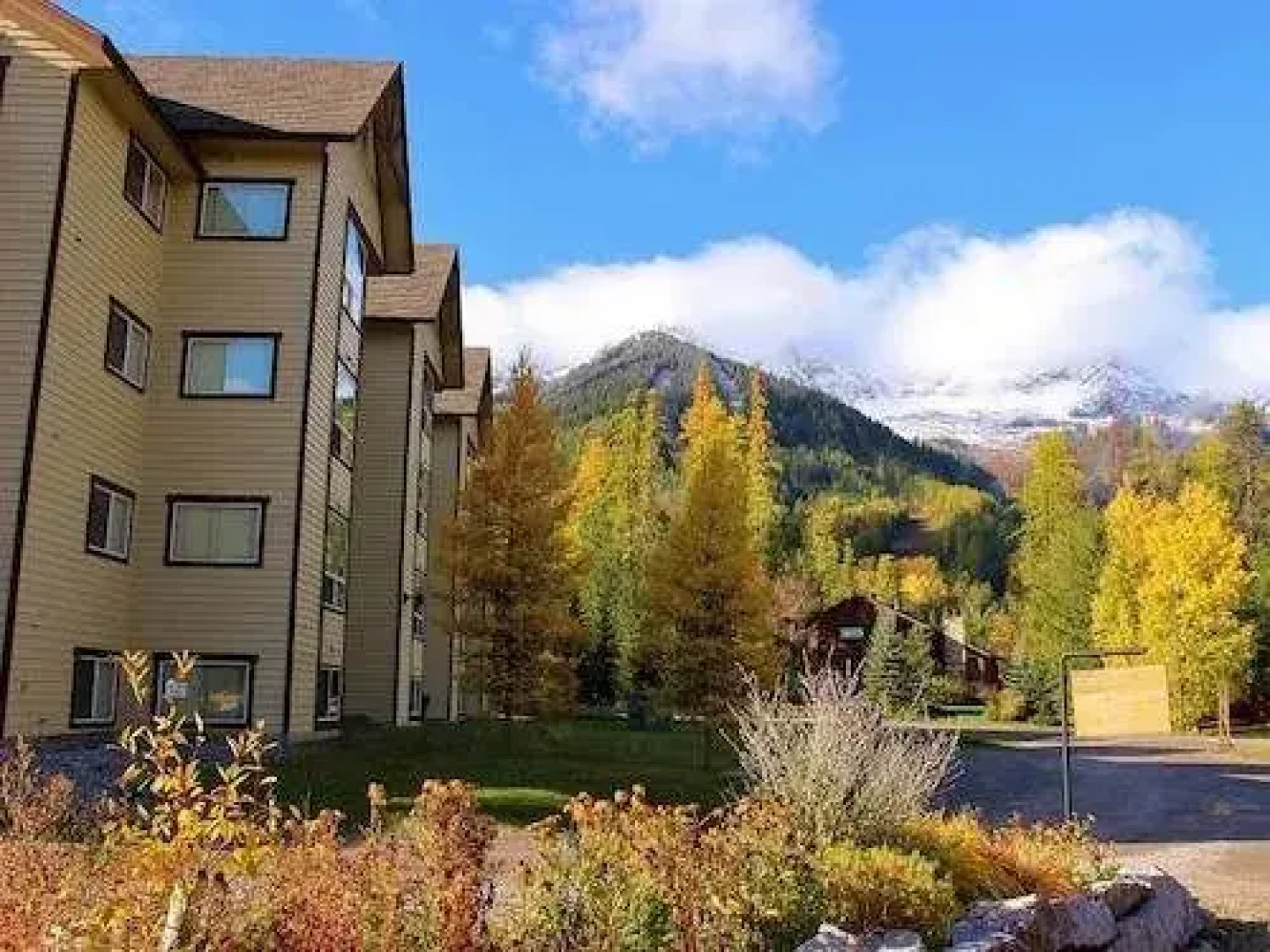 Timberline Lodge - Silver