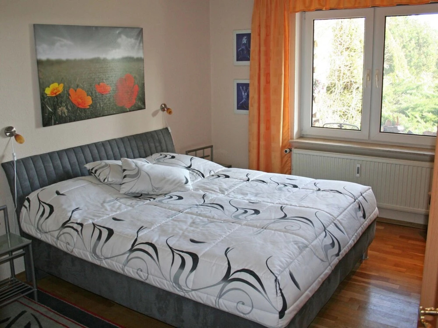 Ilonas Seeblick - Das Schilfhaus