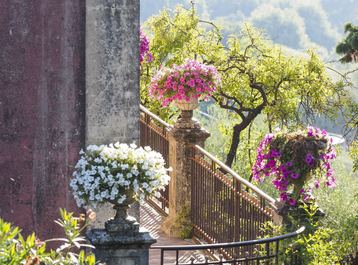 Monaci delle Terre Nere