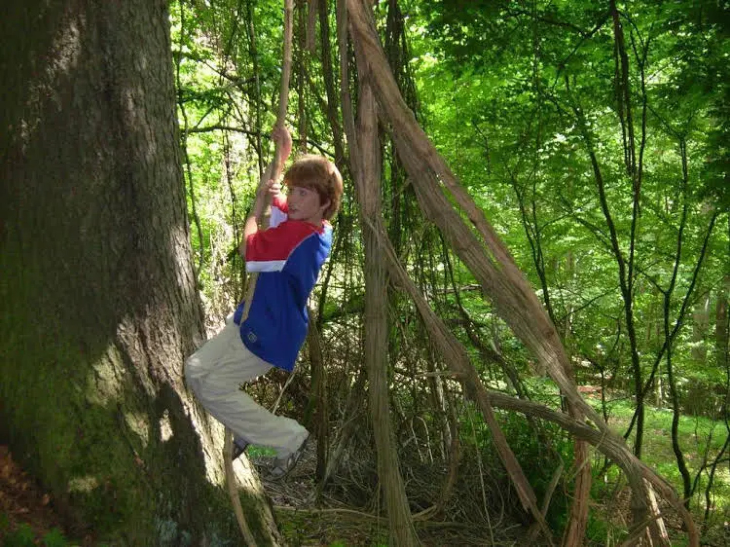 Gästehaus Hochrhönblick