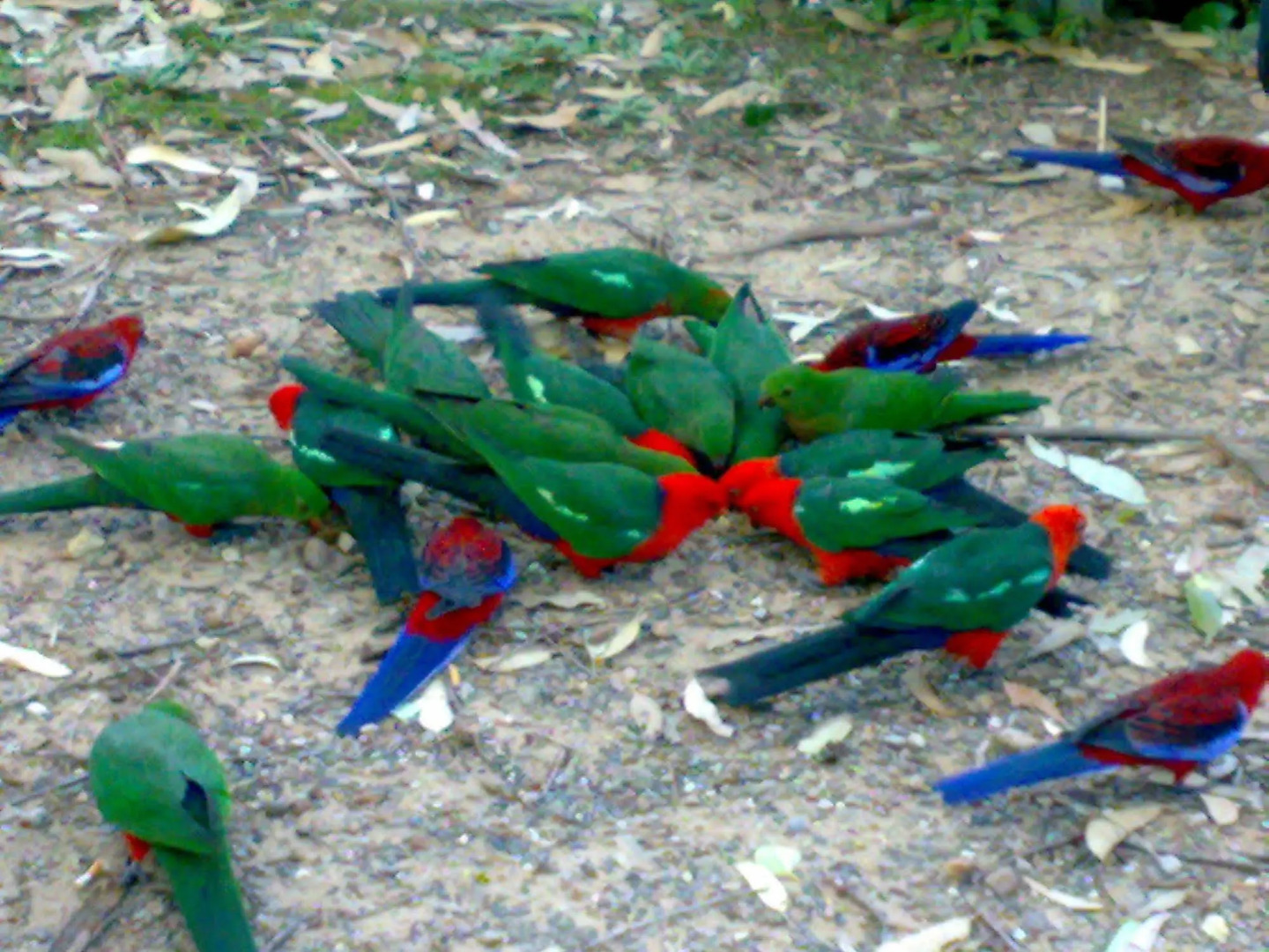 Batemans Bay Holiday Park - Hostel