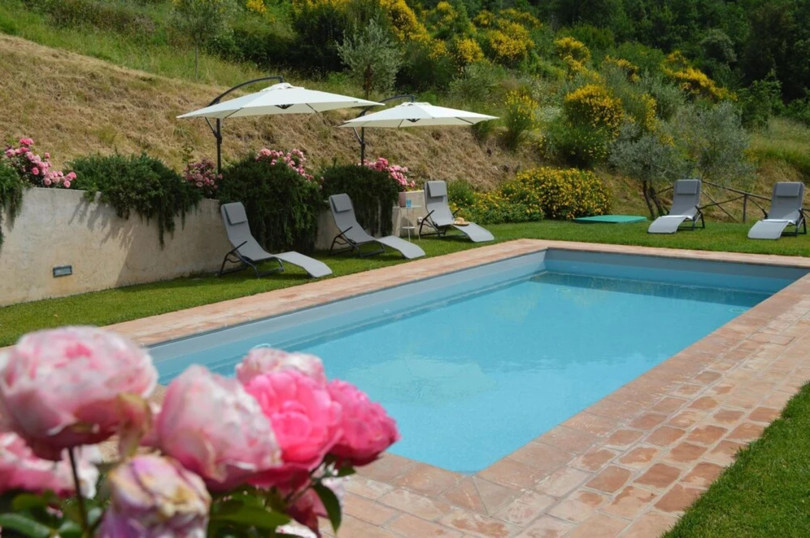 Agriturismo Podere Terrena