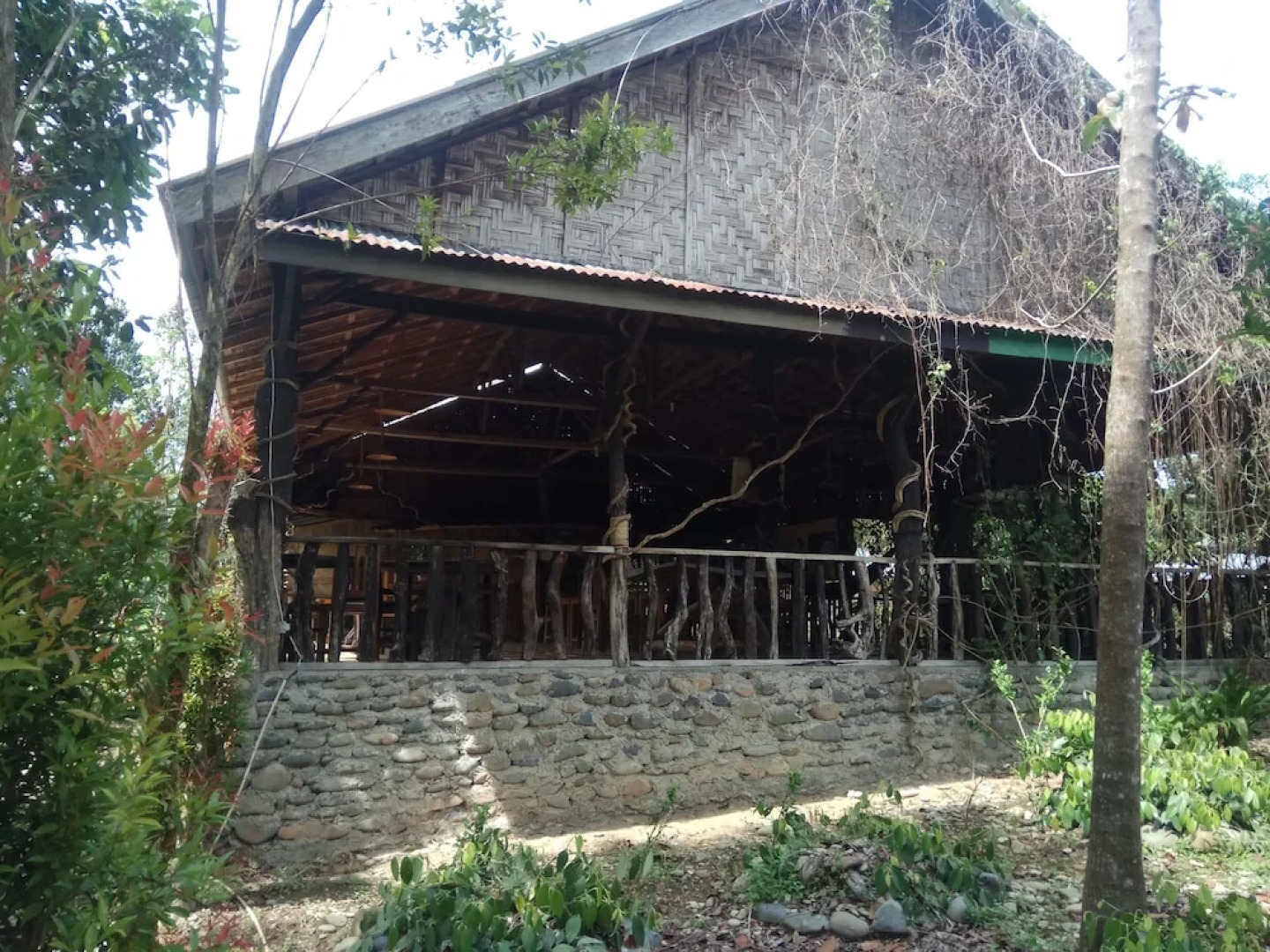 Tangkahan Inn