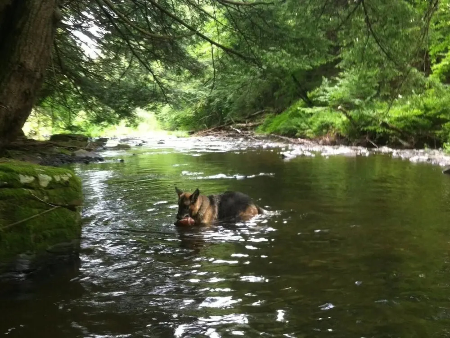 Tentrr - Sands Creek Camp