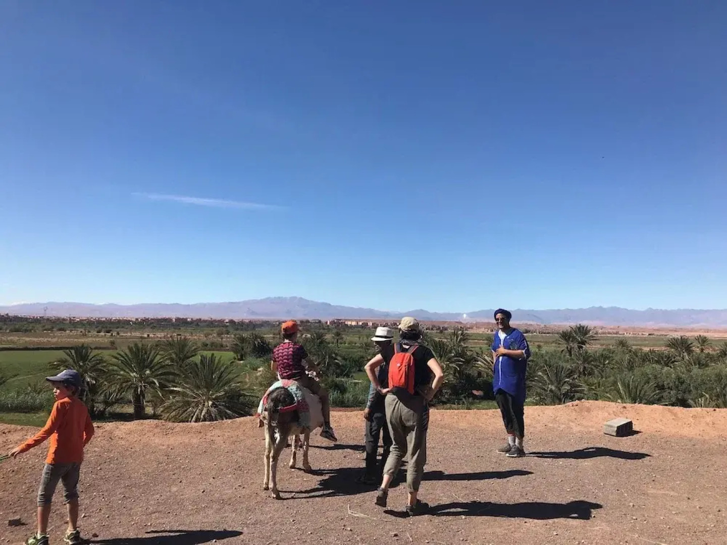 Ecolodge - La Palmeraie