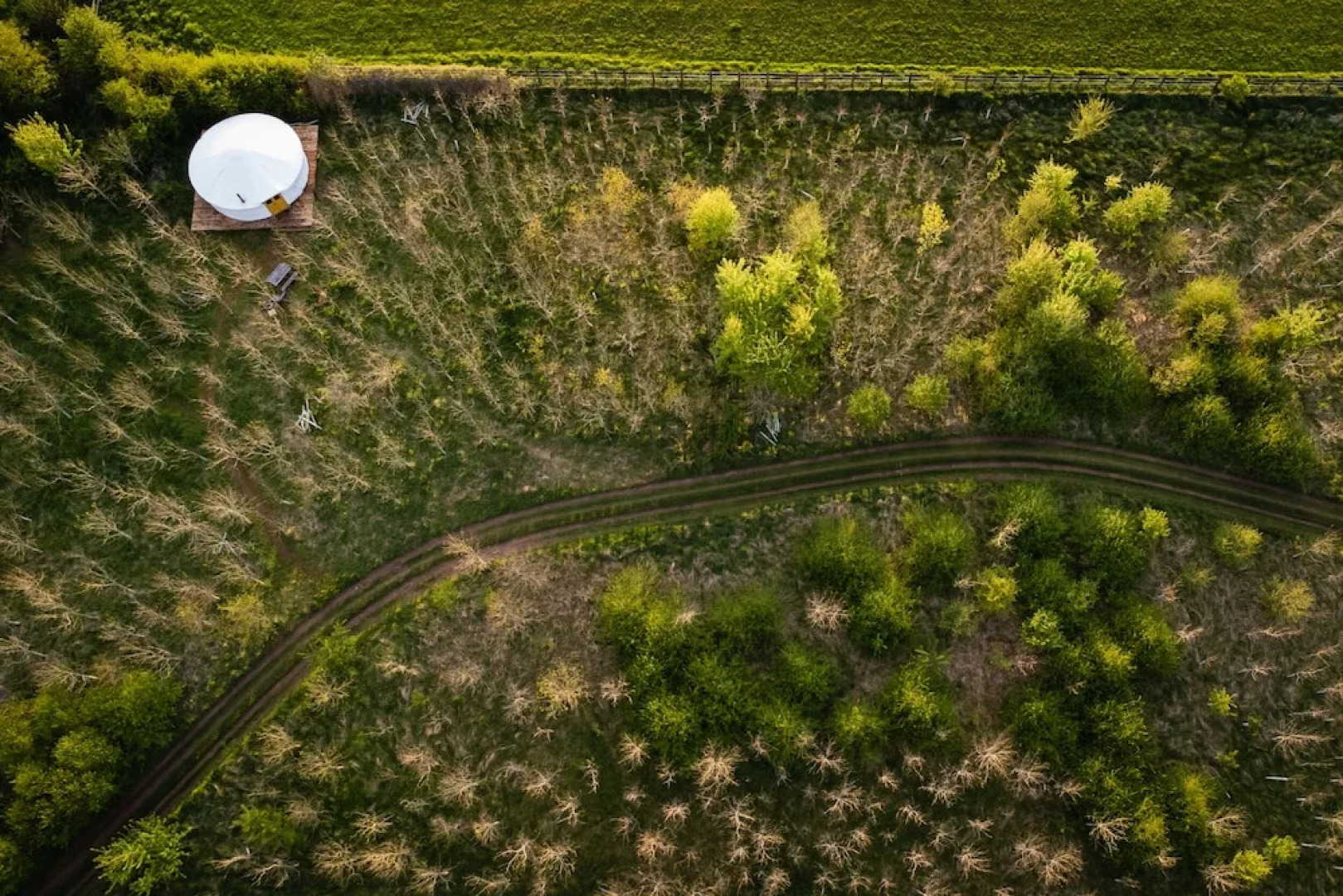 Overe - The Farm Camp