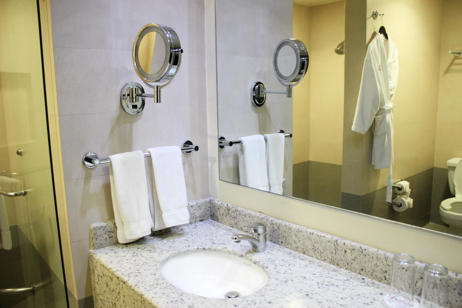 Crowne Plaza Leon by IHG