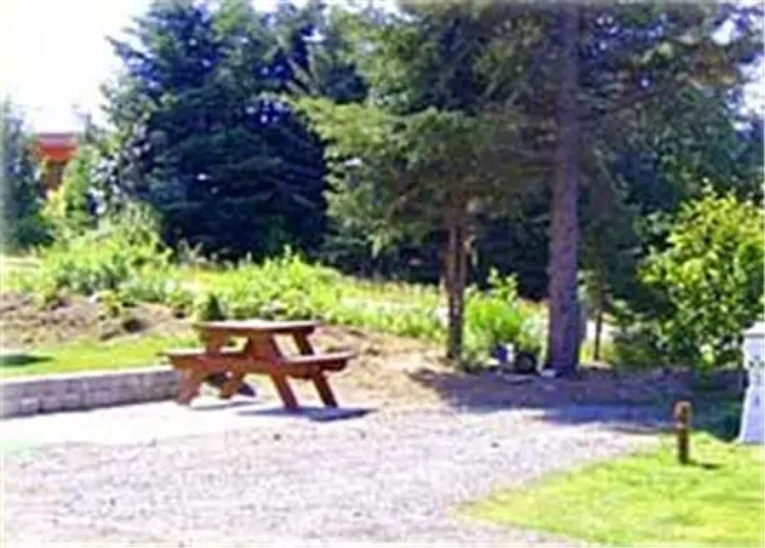 A Fisherman's Resort - RV & Cabins