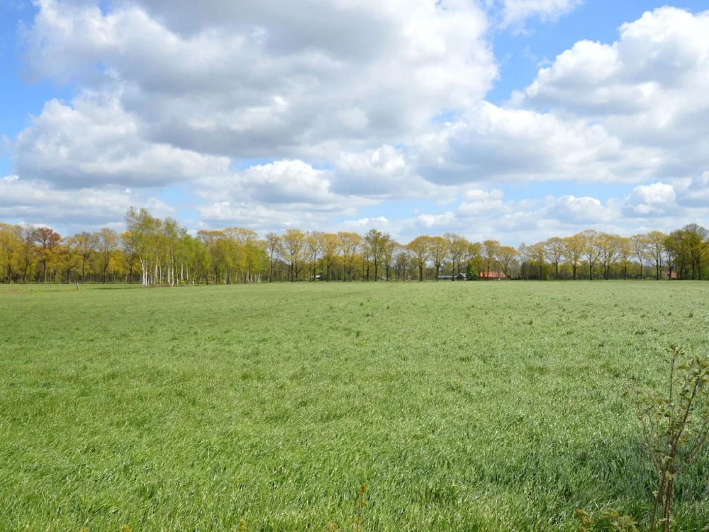 Splendid Holiday Home in Eibergen Guelders With Garden