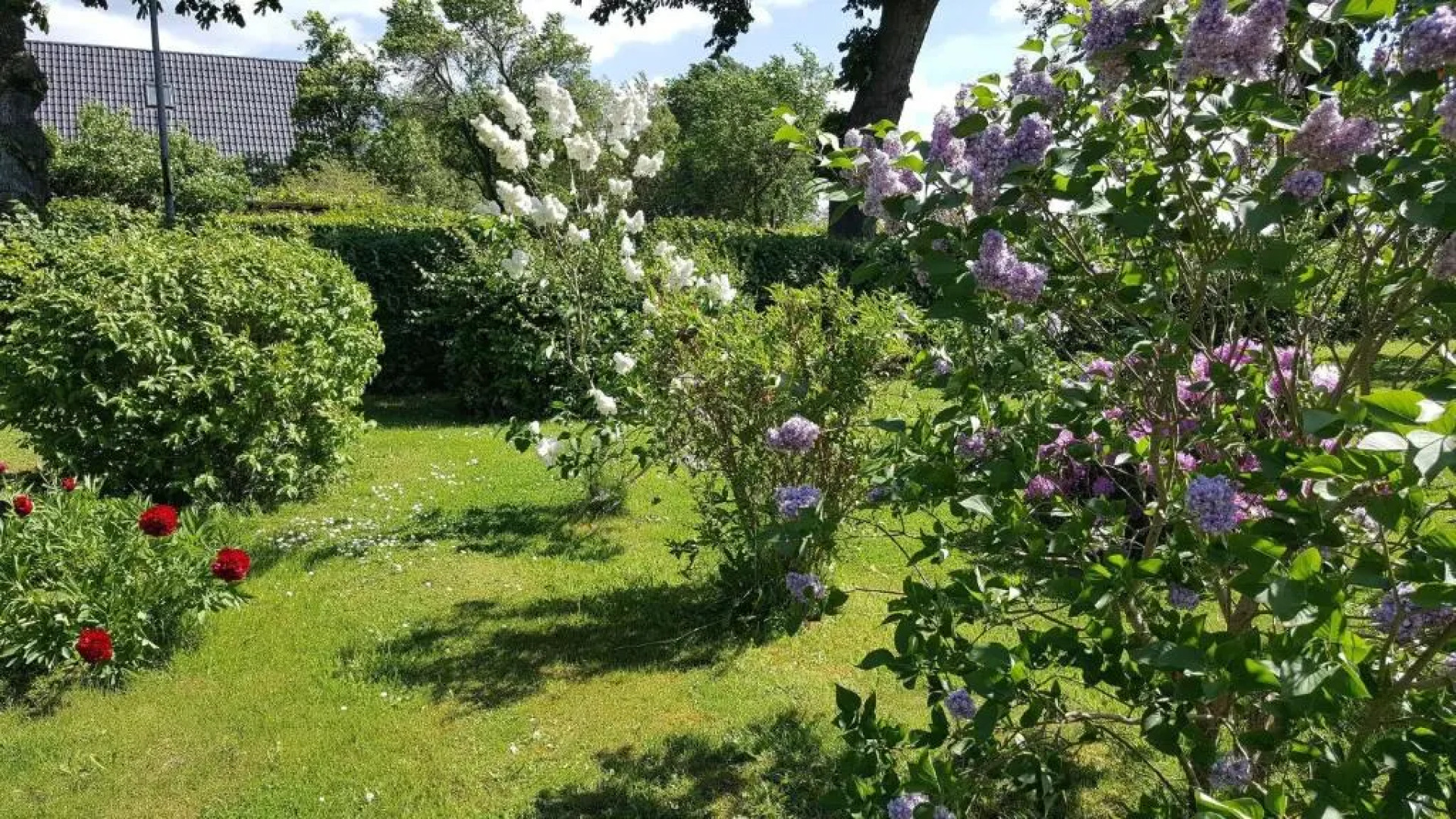 Ferienwohnung-Kastanienblick