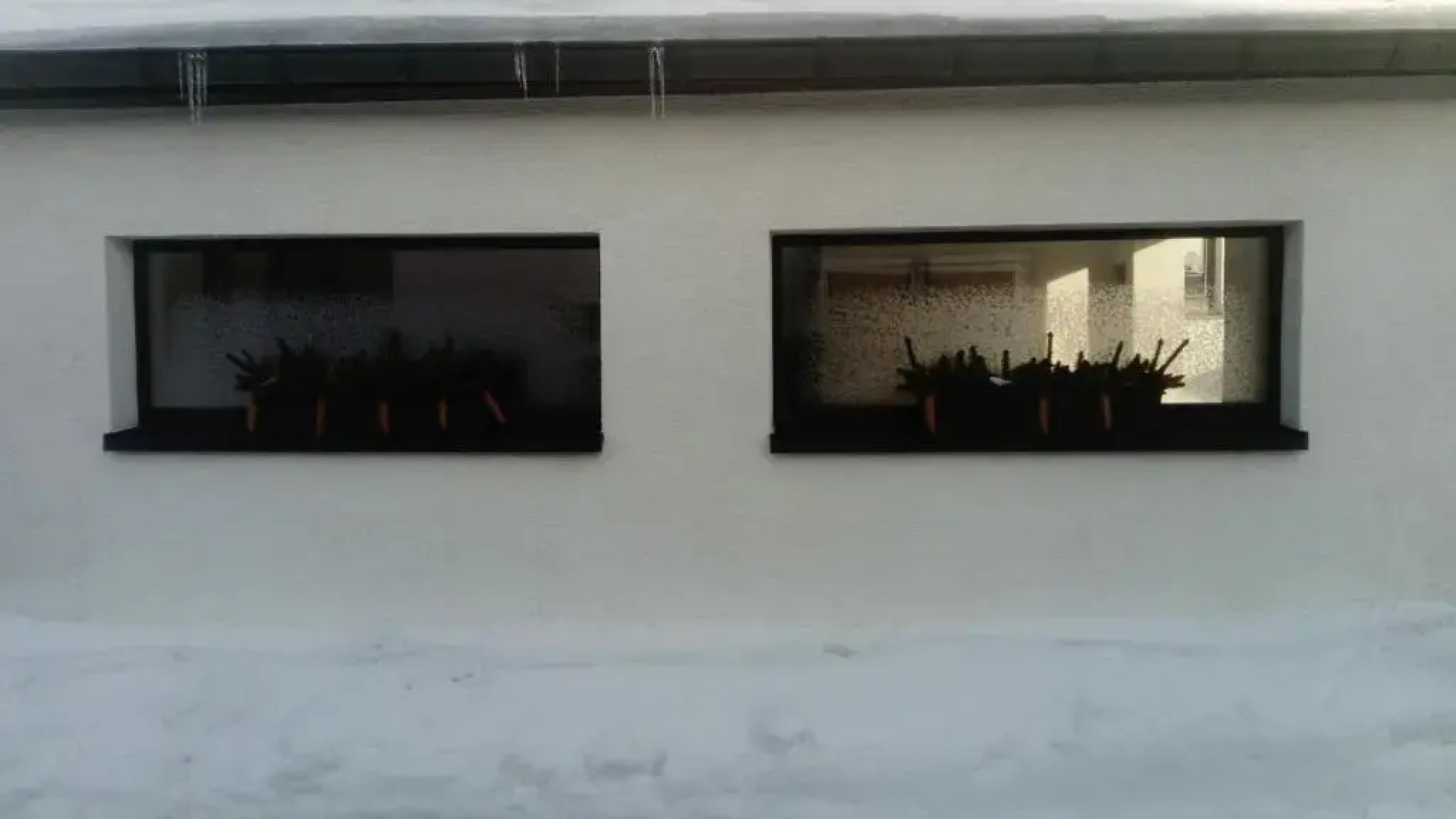 Reiterhof & Pension Lienemann