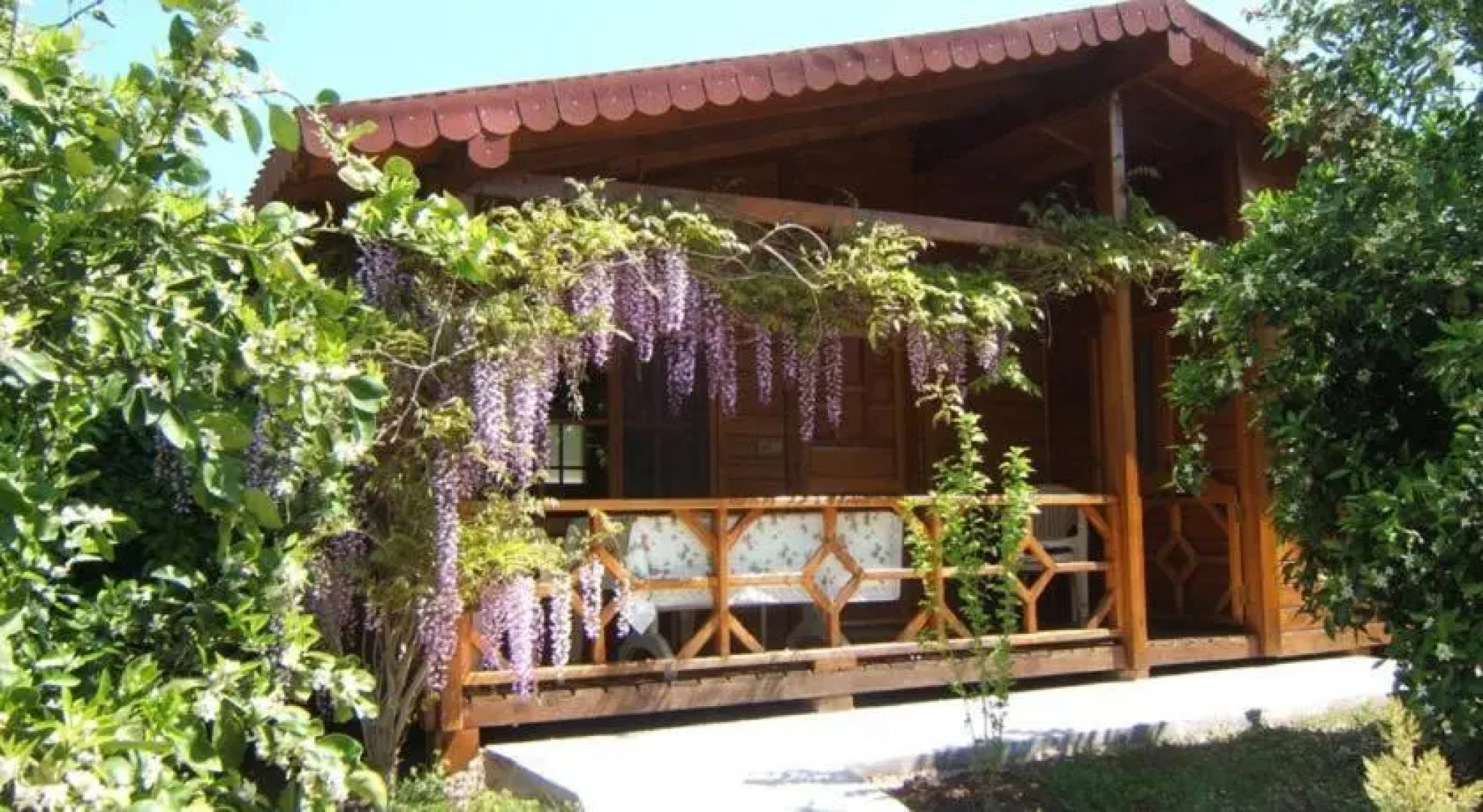 Windmolen Apart Bungalows