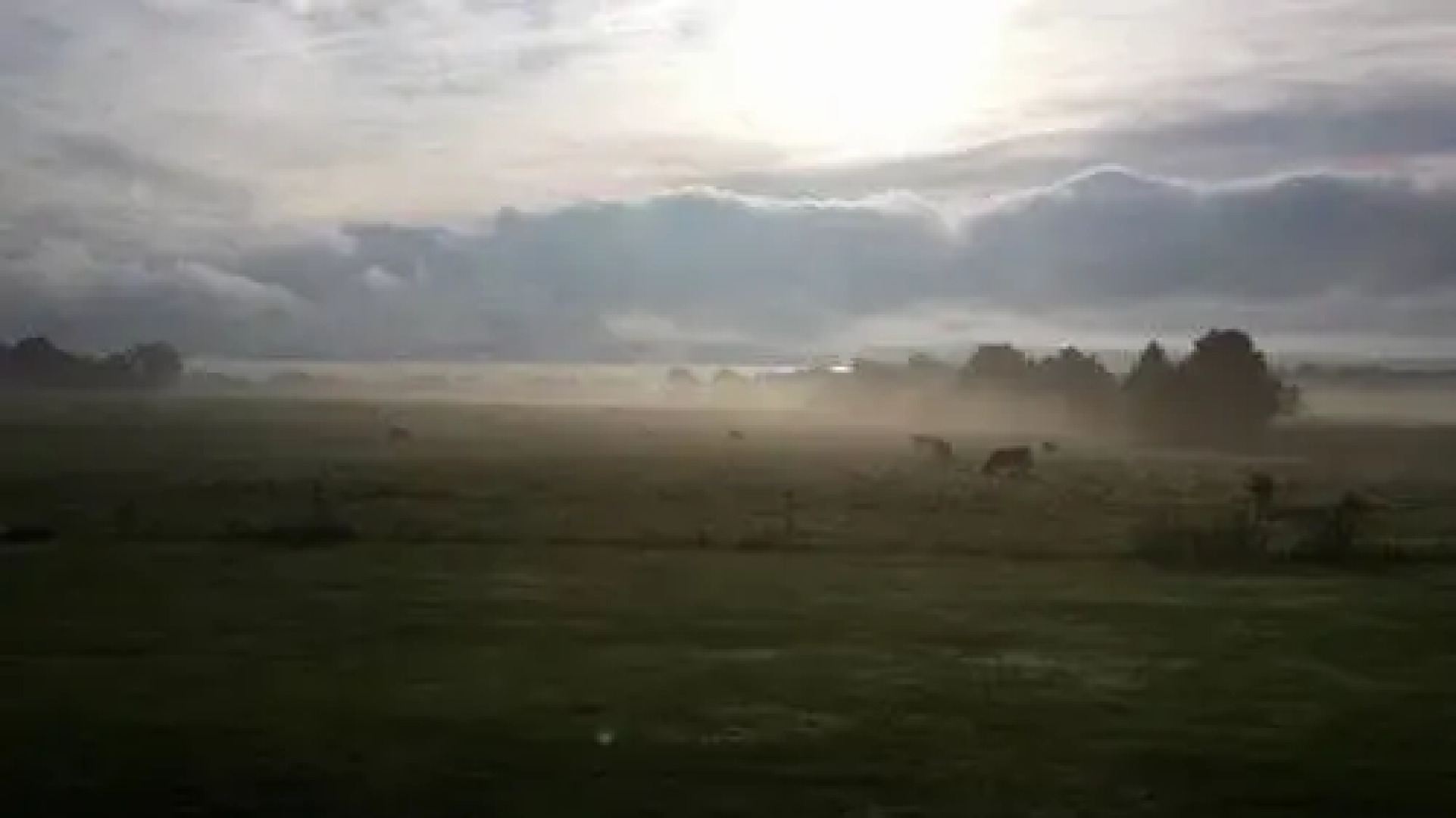 Cayuga Morning Star Bed and Breakfast