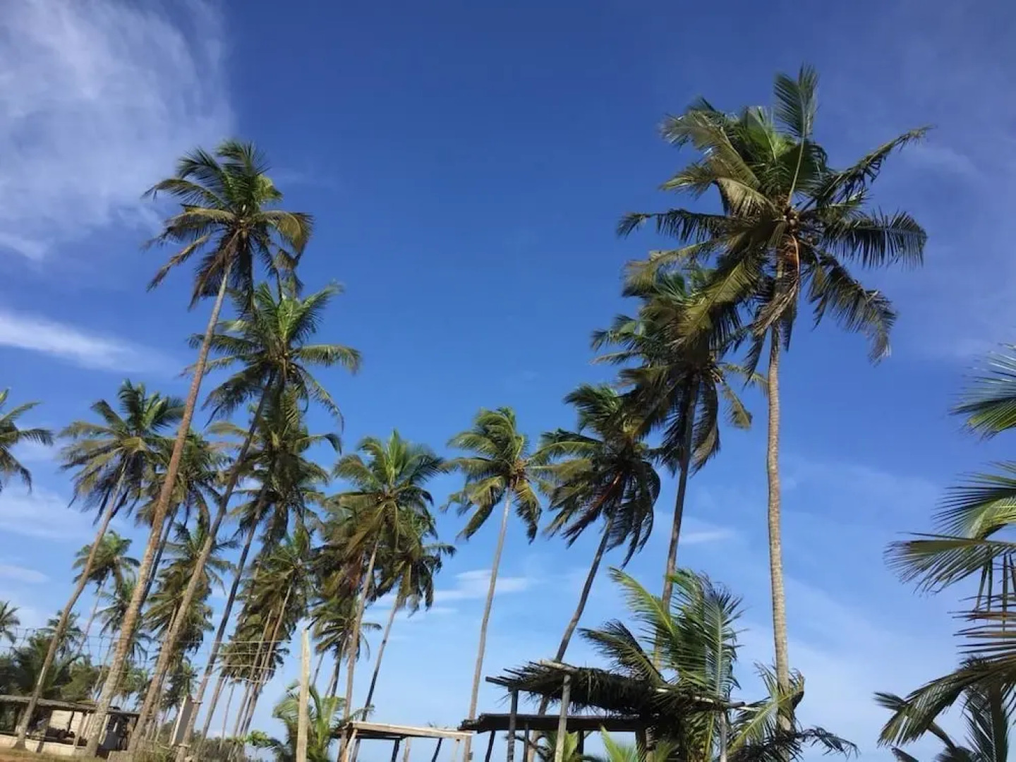 Stumble Inn Eco Lodge