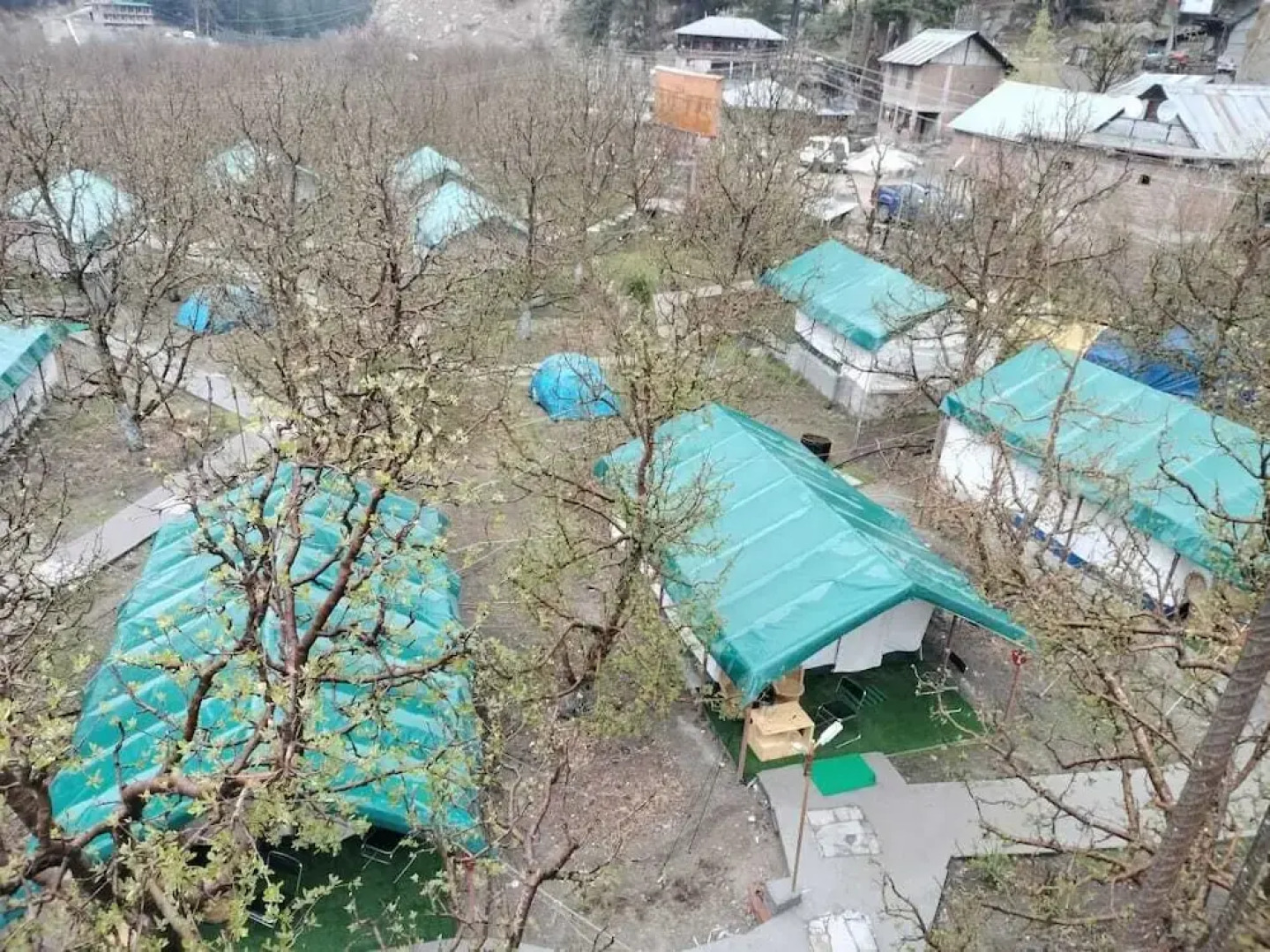 Apple Orchard Farm and Camping